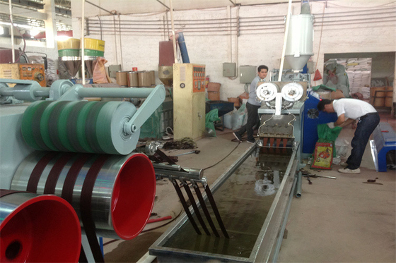 Riem die van de Productielijn Intelligente 6 Banden van de HUISDIEREN de Plastic Riem Machine 50HZ maken